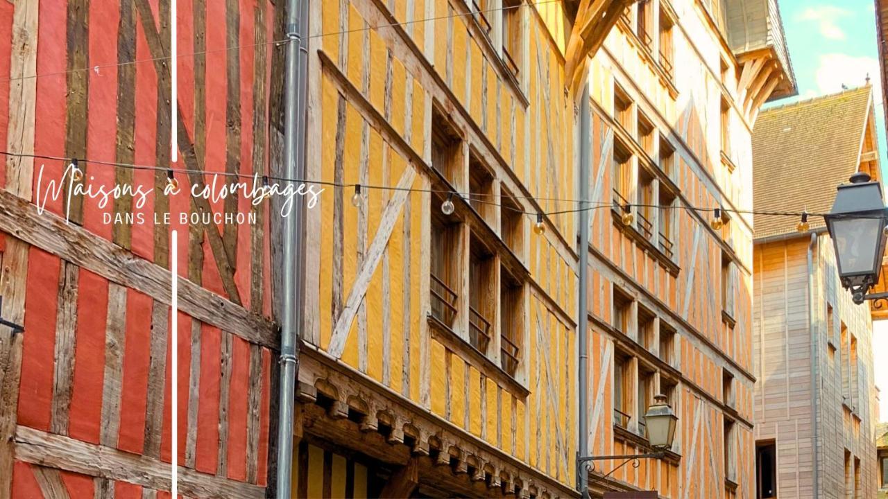 Le Cordelier - Jardin En Plein Centre - Quais De Seine Villa Троа Екстериор снимка